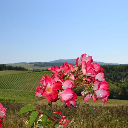 Agriturismo Cignanbianco Castellina in Chianti Kültér fotó