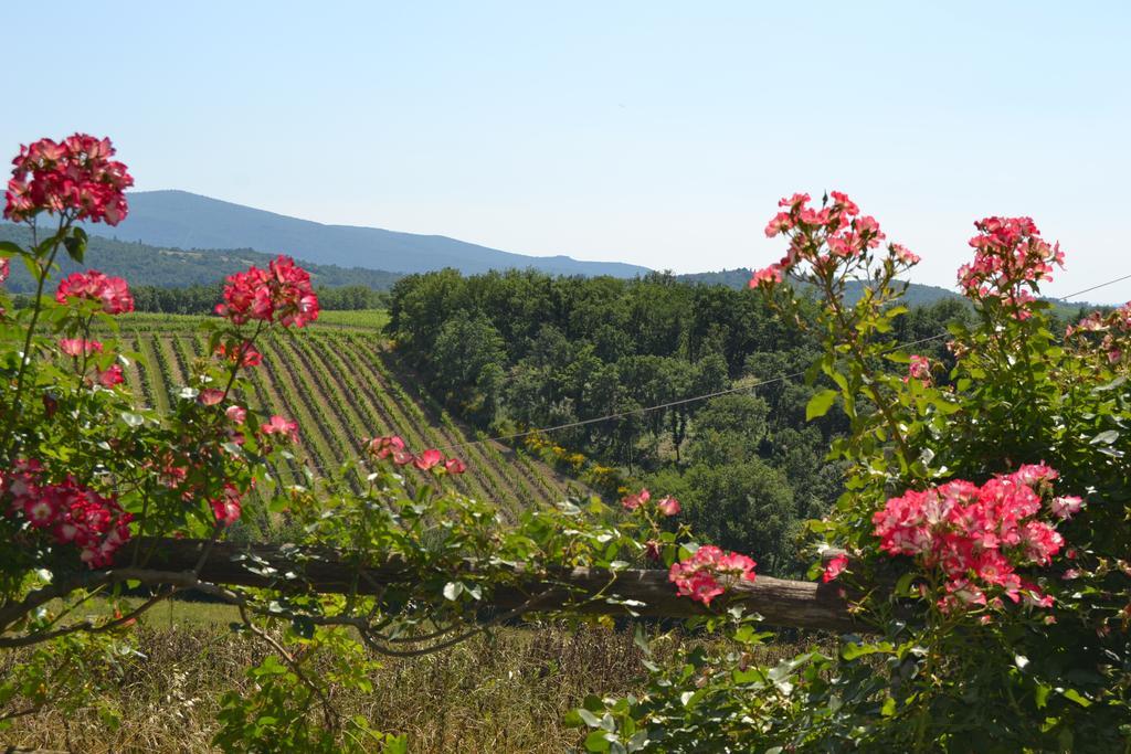 Agriturismo Cignanbianco Castellina in Chianti Kültér fotó