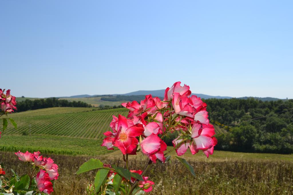 Agriturismo Cignanbianco Castellina in Chianti Kültér fotó